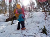西穂高岳 西尾根 積雪期 冬季 バリエーションルート 登山 DSCN0265