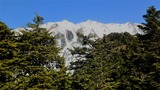 西穂高岳 西尾根 積雪期 冬季 バリエーションルート 登山 P3300523