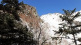 西穂高岳 西尾根 積雪期 冬季 バリエーションルート 登山 P3300529