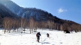 西穂高岳 西尾根 積雪期 冬季 バリエーションルート 登山 P3300496