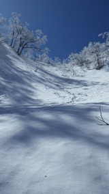 大山振子沢山スキー IMGP1188