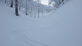 氷ノ山 命水 → 仙谷 山スキー IMGP1928