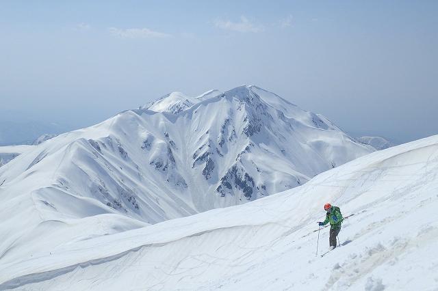 雷鳥沢を滑降。剱岳 大脱走ルンゼ スキー滑降 山スキー