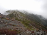 南アルプス 縦走 白峯南嶺 (青薙山～広河内岳) ～ 蝙蝠岳 DSCN5111