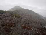 南アルプス 縦走 白峯南嶺 (青薙山～広河内岳) ～ 蝙蝠岳 DSCN5158