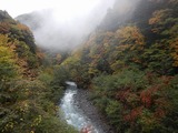 南アルプス 縦走 白峯南嶺 (青薙山～広河内岳) ～ 蝙蝠岳 DSCN5185