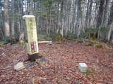 南アルプス 縦走 白峯南嶺 (青薙山～広河内岳) ～ 蝙蝠岳 DSCN4998
