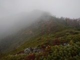 南アルプス 縦走 白峯南嶺 (青薙山～広河内岳) ～ 蝙蝠岳 DSCN5096