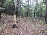 南アルプス 縦走 白峯南嶺 (青薙山～広河内岳) ～ 蝙蝠岳 DSCN4960