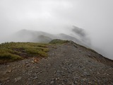 南アルプス 縦走 白峯南嶺 (青薙山～広河内岳) ～ 蝙蝠岳 DSCN5148