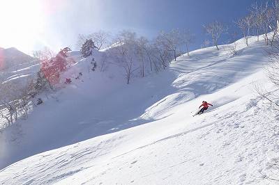 小遠見山東面を滑降 山スキー バックカントリー