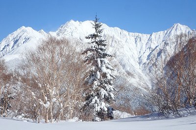 台地から望む穂高連峰 焼岳 上堀沢 滑降 山スキー バックカントリー