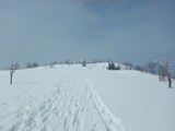 氷ノ山 東尾根 登山 山スキー DSCN5554