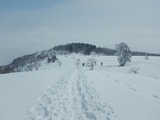 氷ノ山 東尾根 登山 山スキー DSCN5563