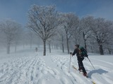 氷ノ山 東尾根 登山 山スキー DSCN5524