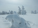 氷ノ山 東尾根 登山 山スキー DSCN5566