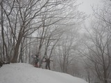 氷ノ山 東尾根 登山 山スキー DSCN5509