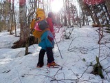 西穂高岳 西尾根 積雪期 冬季 バリエーションルート 登山 DSCN0265