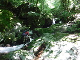 万ヶ谷 阿舎利山系 沢登り 2018_0616_12232500