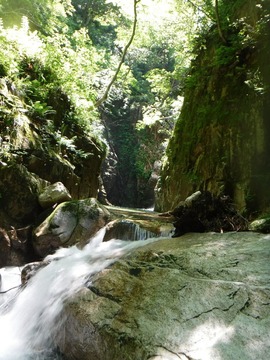 滋賀県 八池谷 沢登り 1529831778314