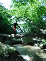 滋賀県 八池谷 沢登り 1529845693901