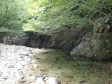 鈴鹿 野洲川水系 元越谷 沢登り IMG_3353