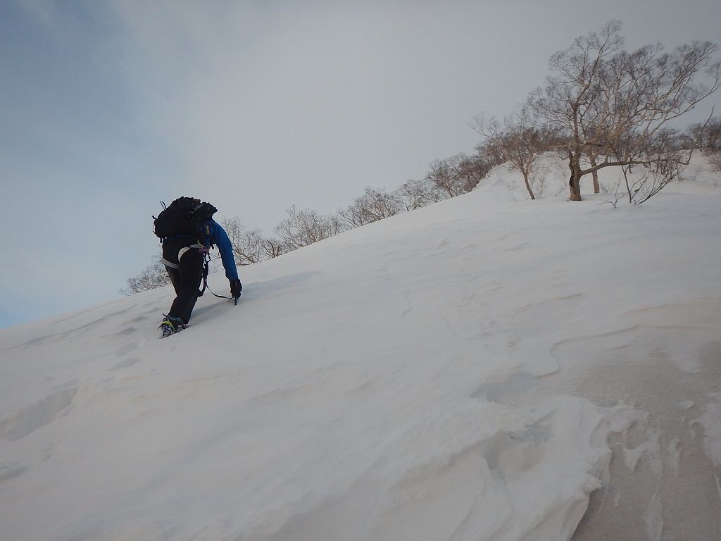 杓子岳 杓子尾根 残雪期雪稜登山