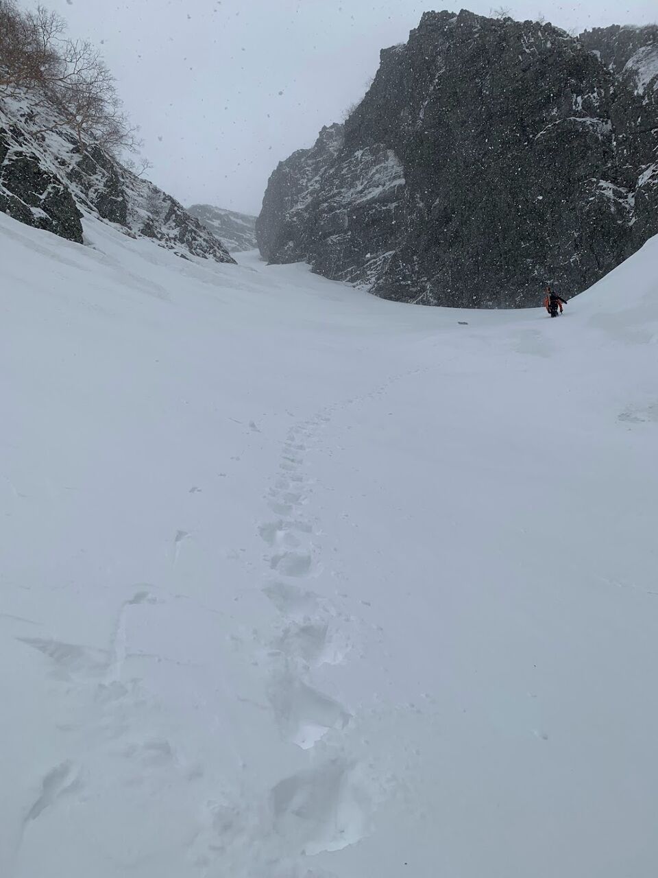 穂高岳 バックカントリー、山スキー、残雪期アルパインクライミング IMG_4618