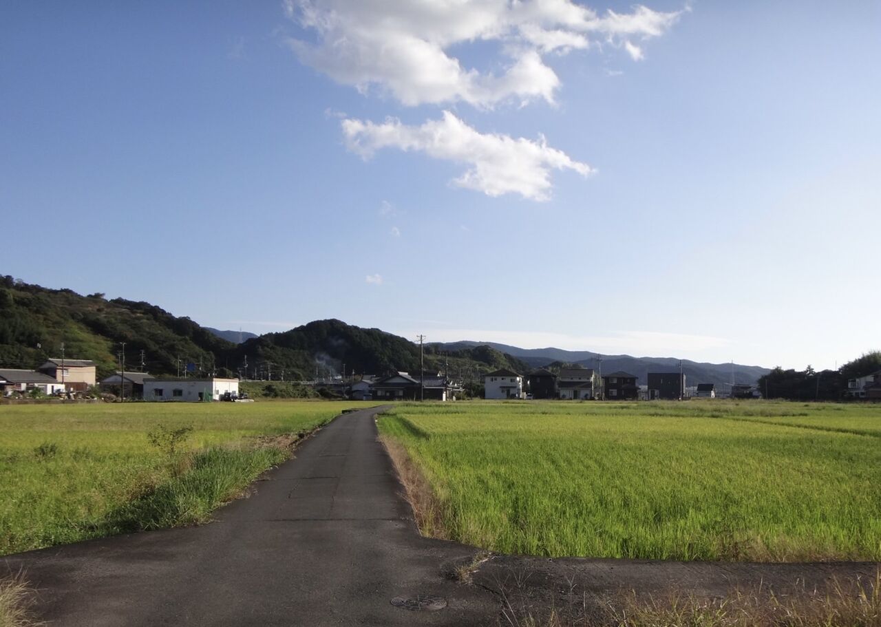 田園を歩く