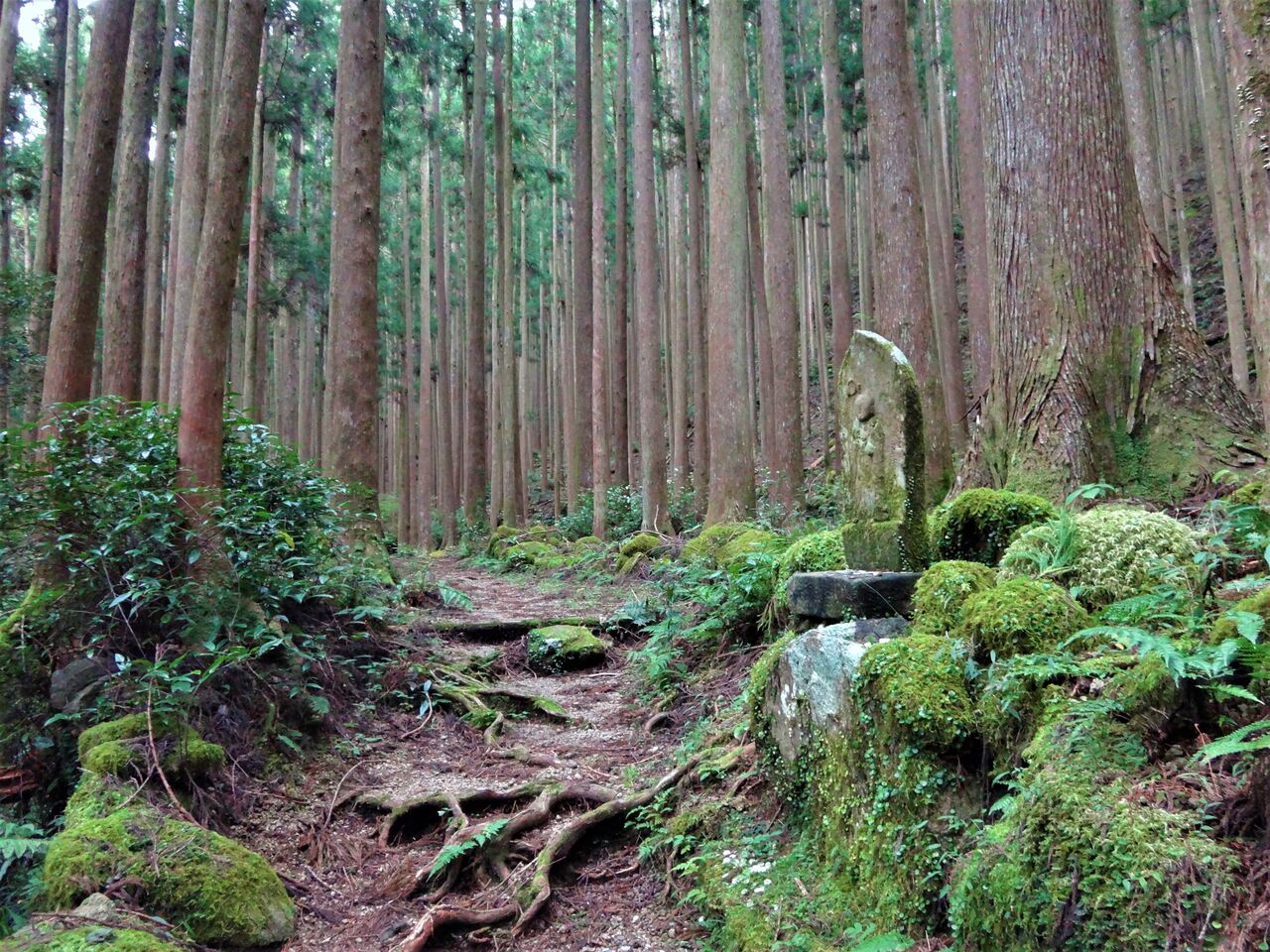 古道に佇む地蔵