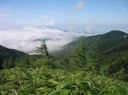 摺古木山南面からの恵那山 中央アルプス縦走 桂小場 ～ 大平宿