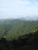 摩耶山学校林道 トレイルランニング NEC_0011