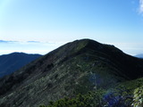 越百山 縦走 DSCF0991