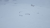 立山 山スキー IMGP1775