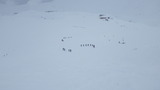立山 山スキー IMGP1775