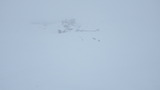 立山 山スキー IMGP1784