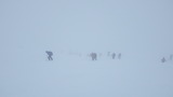 立山 山スキー IMGP1781