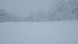 氷ノ山 わさび谷 IMGP1874