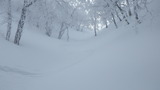 氷ノ山 命水 → 仙谷 山スキー IMGP1924