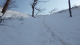 大山 振子沢 山スキー IMGP1964