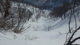 大山 振子沢 山スキー IMGP1966