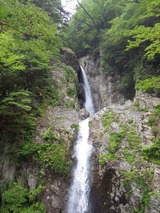 弥山川 鉄山 沢登り IMGP1544