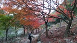 比良 登山 DSC_0027