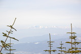 阿弥陀岳 南稜 冬季アルパインクライミング DSC_0079