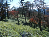 大峰 釈迦岳 ～ 大日岳 縦走 DSCF1180