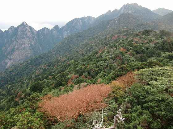 障子尾根と永田岳、右奥は宮之浦岳 屋久島 宮之浦岳 永田岳 縦走