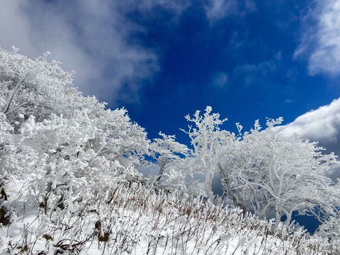 伊吹山 雪中行動訓練 冬山登山 IMG_3090