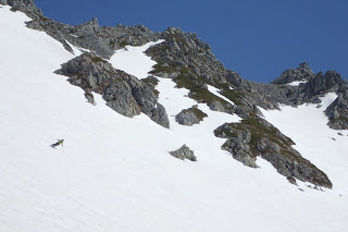 山崎カールをスキー滑降 山スキー 立山 剱沢、雷鳥沢、雄山山崎カール