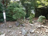 南紀 高田川 栂谷 沢登り DSCN3593
