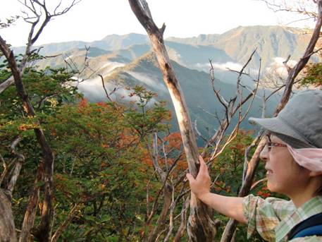 弥山から孔雀・釈迦ヶ岳 大峰山 行者還岳から大普賢岳 縦走